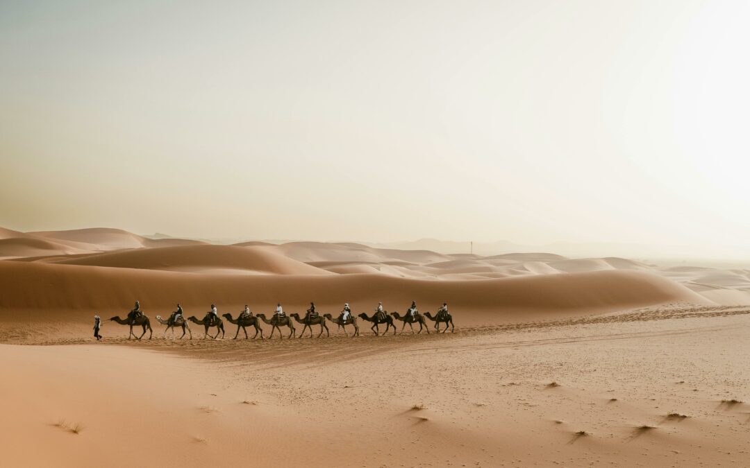 10 Day Tour from Casablanca to Marrakech