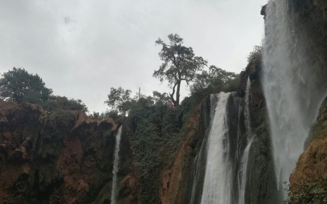 1 Day Trip from Marrakech to Ouzoud Waterfalls